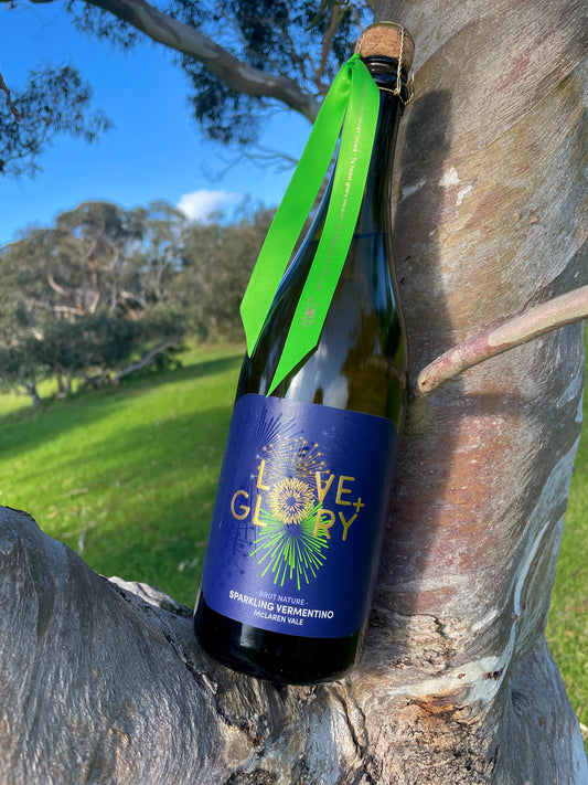2024 Sparkling Vermentino Case
